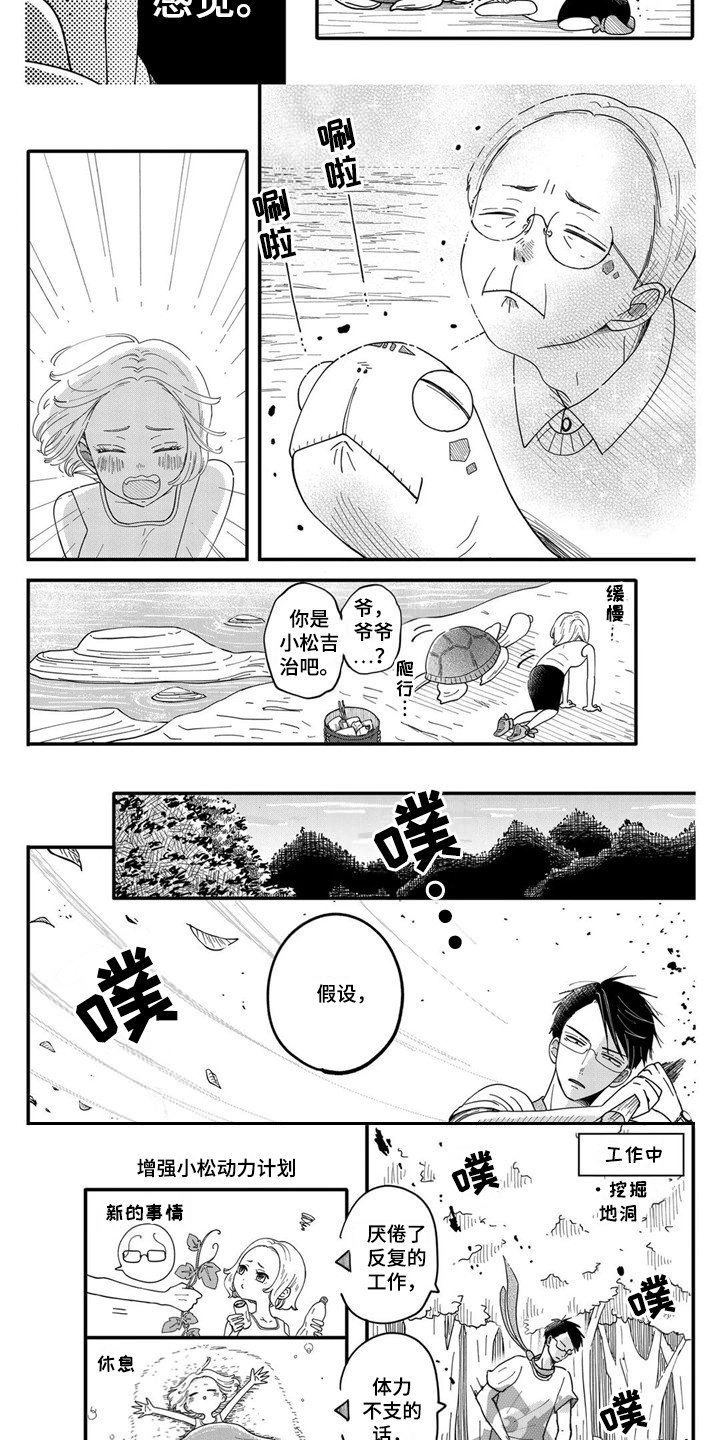 第7章：海龟5