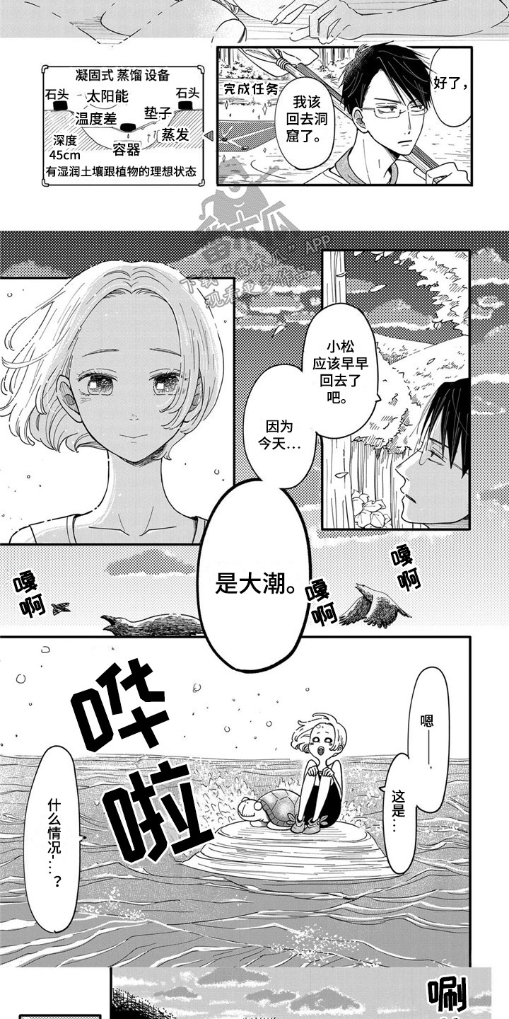 第7章：海龟7