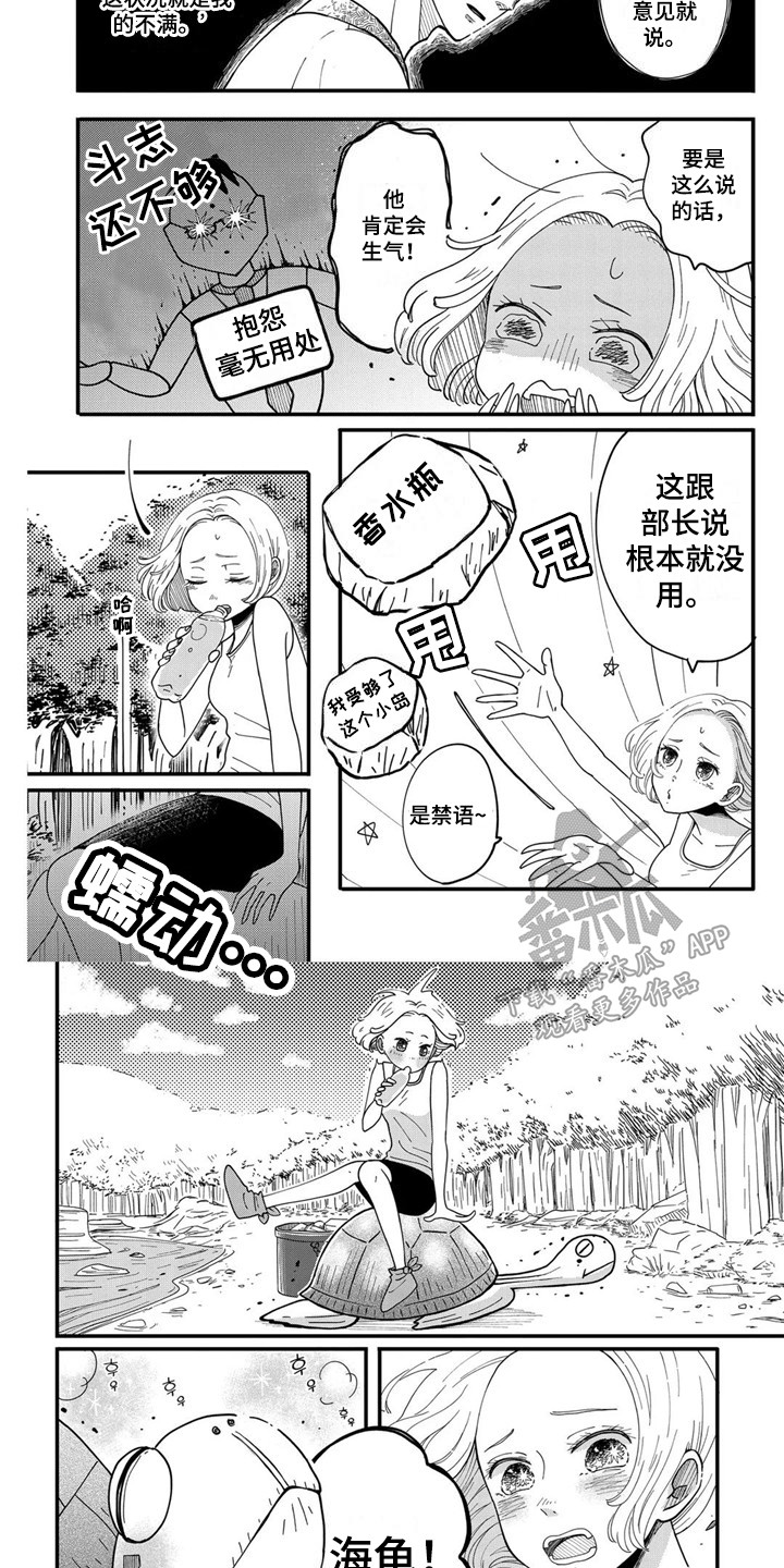 第7章：海龟3
