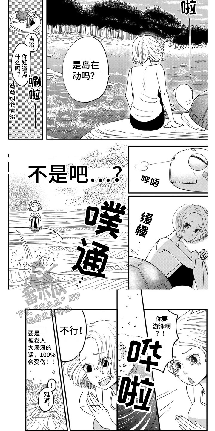 第7章：海龟8