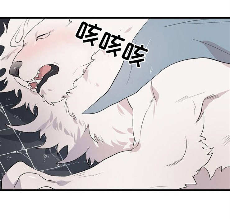 第21章：真身0