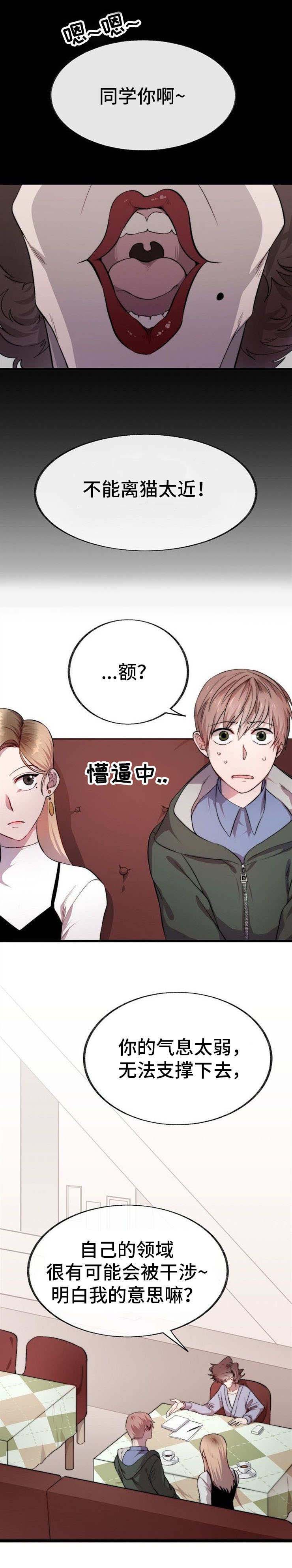 第1章：占卜7