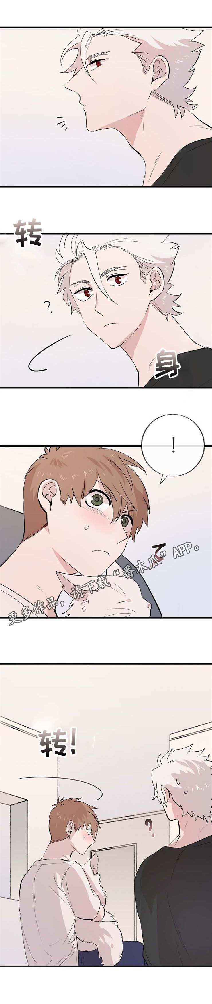 第11章：邀请11