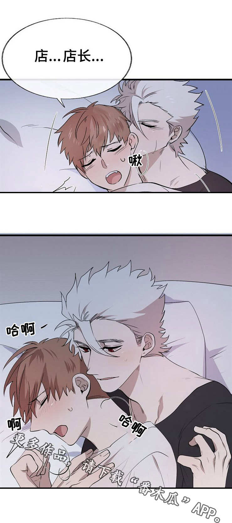 第13章：阳气5