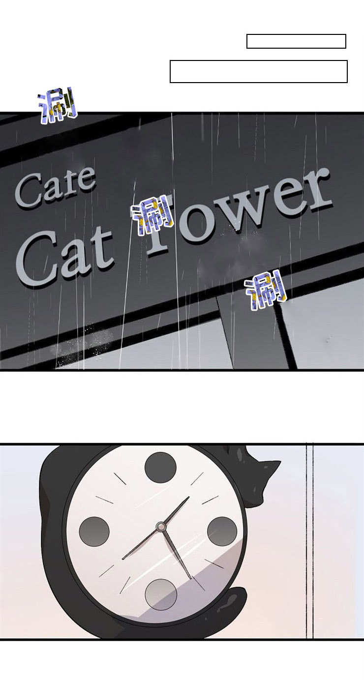 第15章：追逐0
