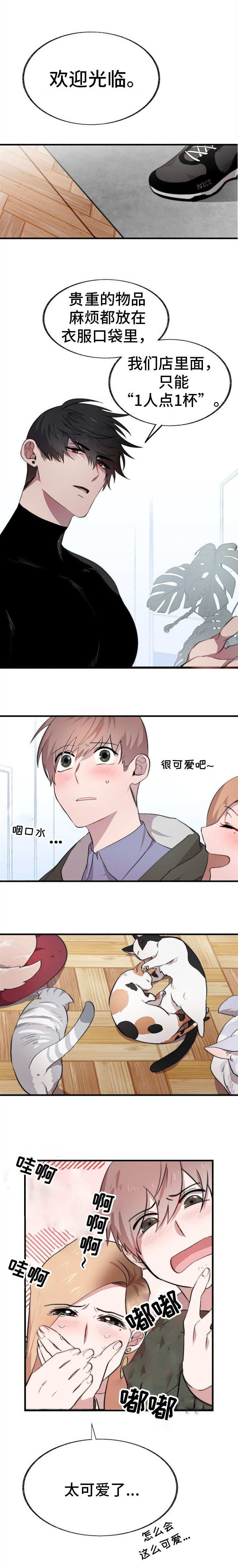 第2章：猫咪咖啡店0