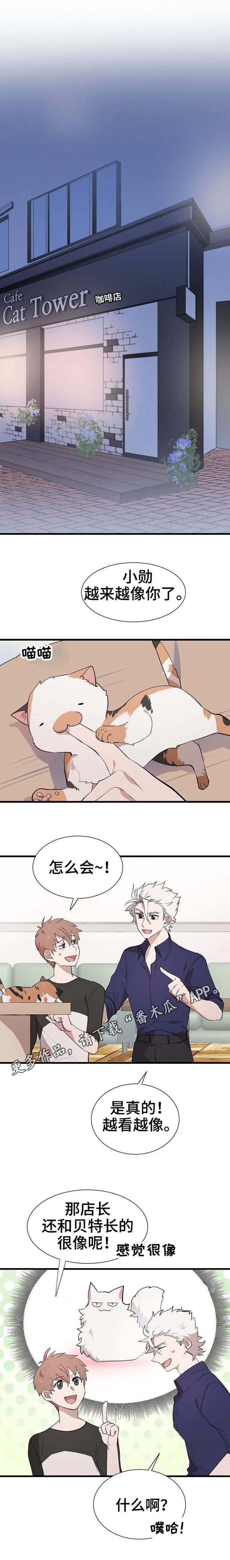 第28章：帮忙5