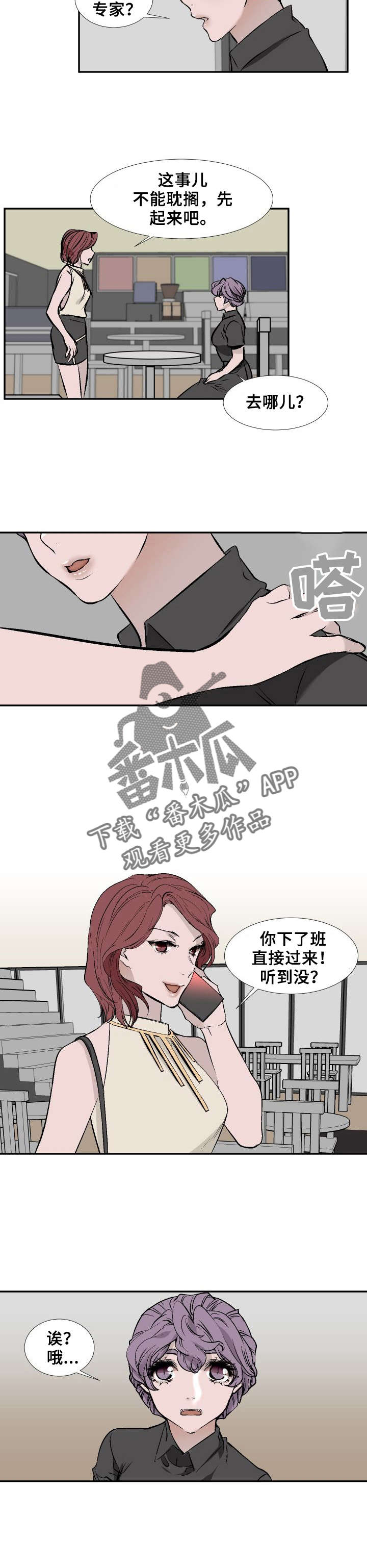 第11章：专家4