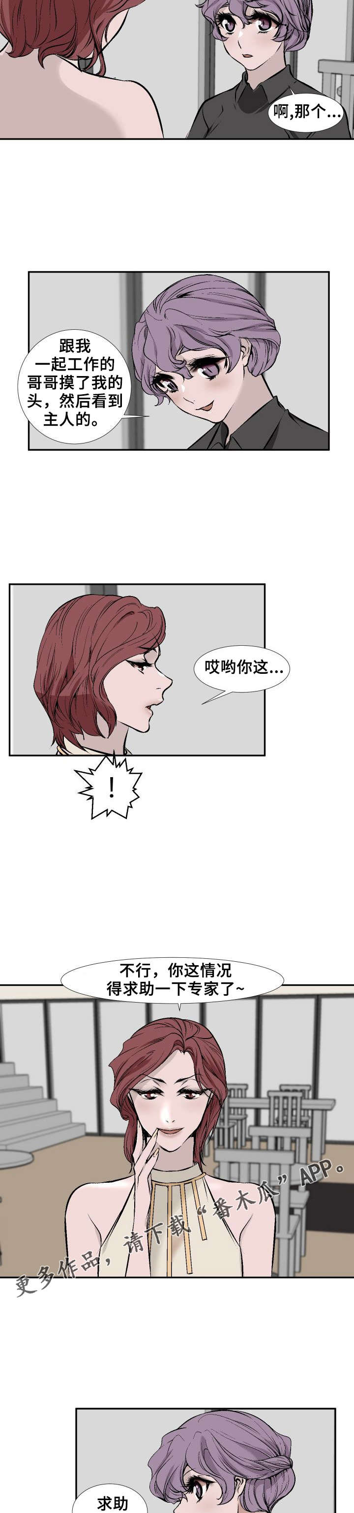 第11章：专家3