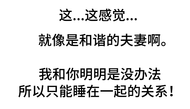第31章：承诺3