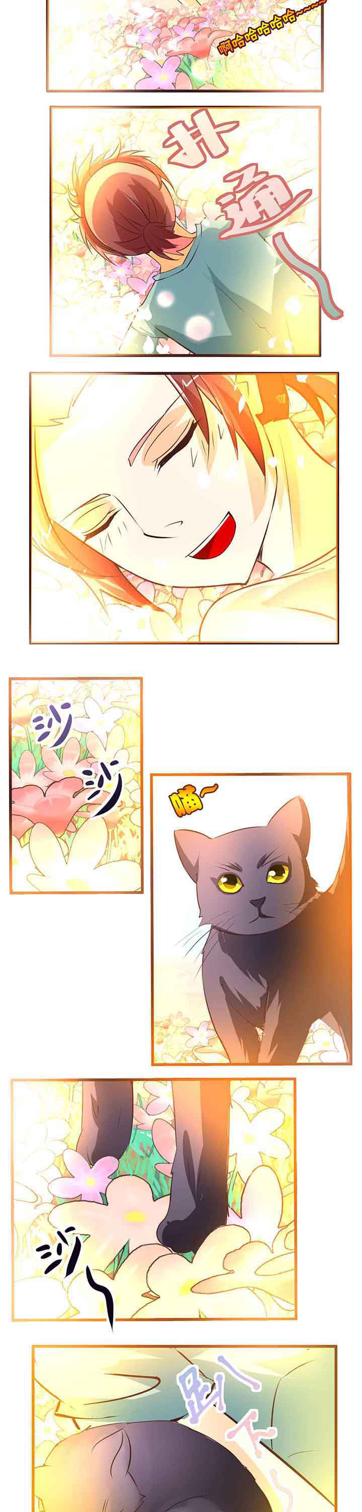 第15章：2