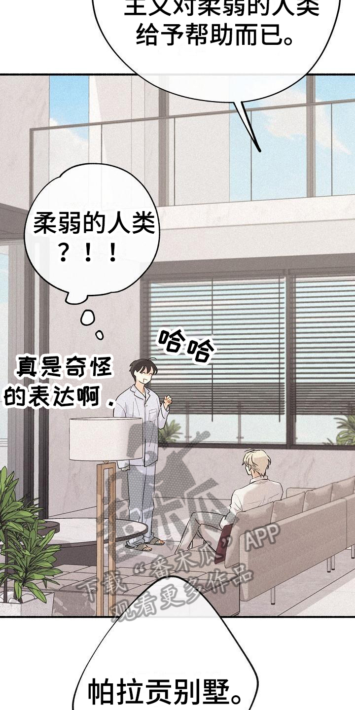 第7章：家没了7