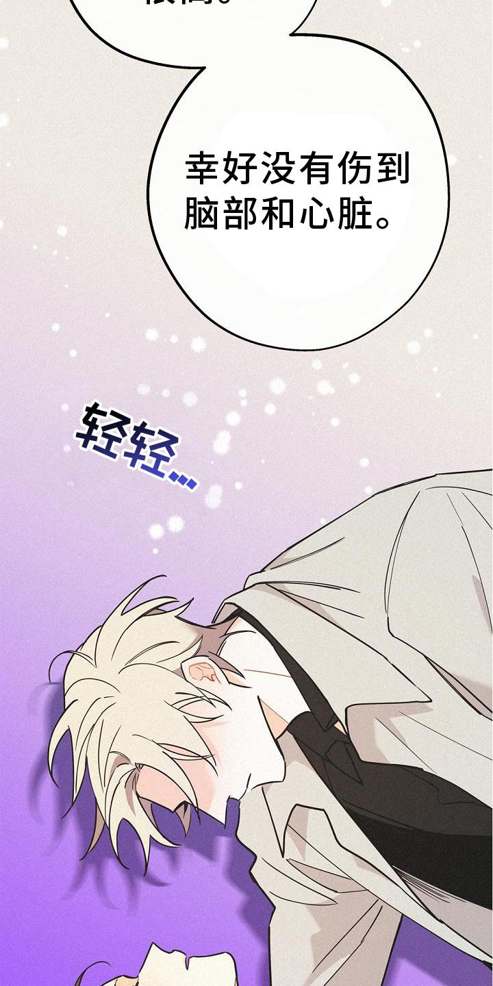 第36章：混血15