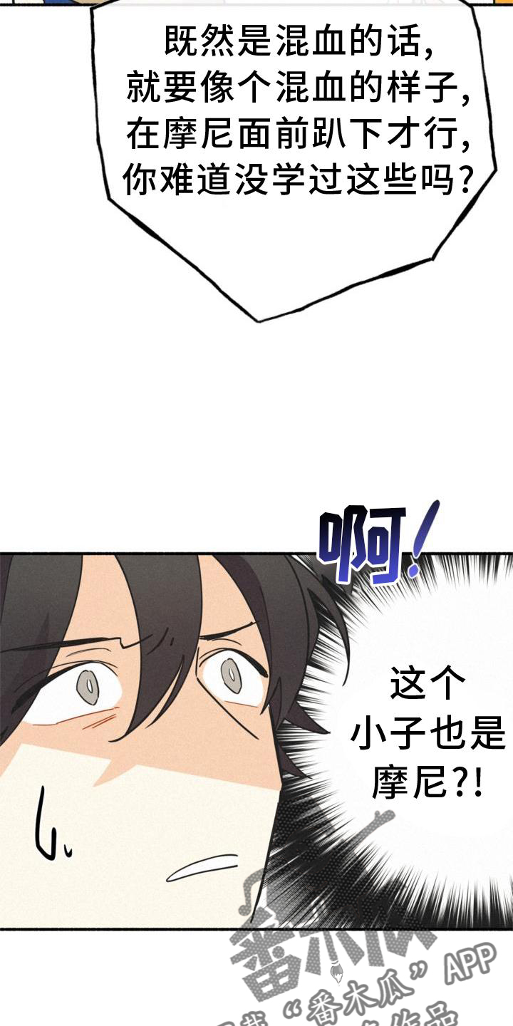 第28章：出言不逊18