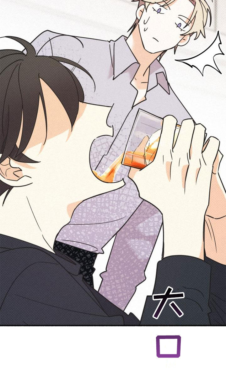 第57章：没喝醉过21
