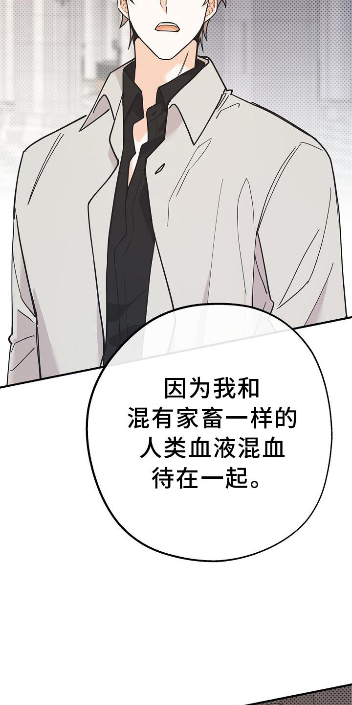 第33章：暗杀14
