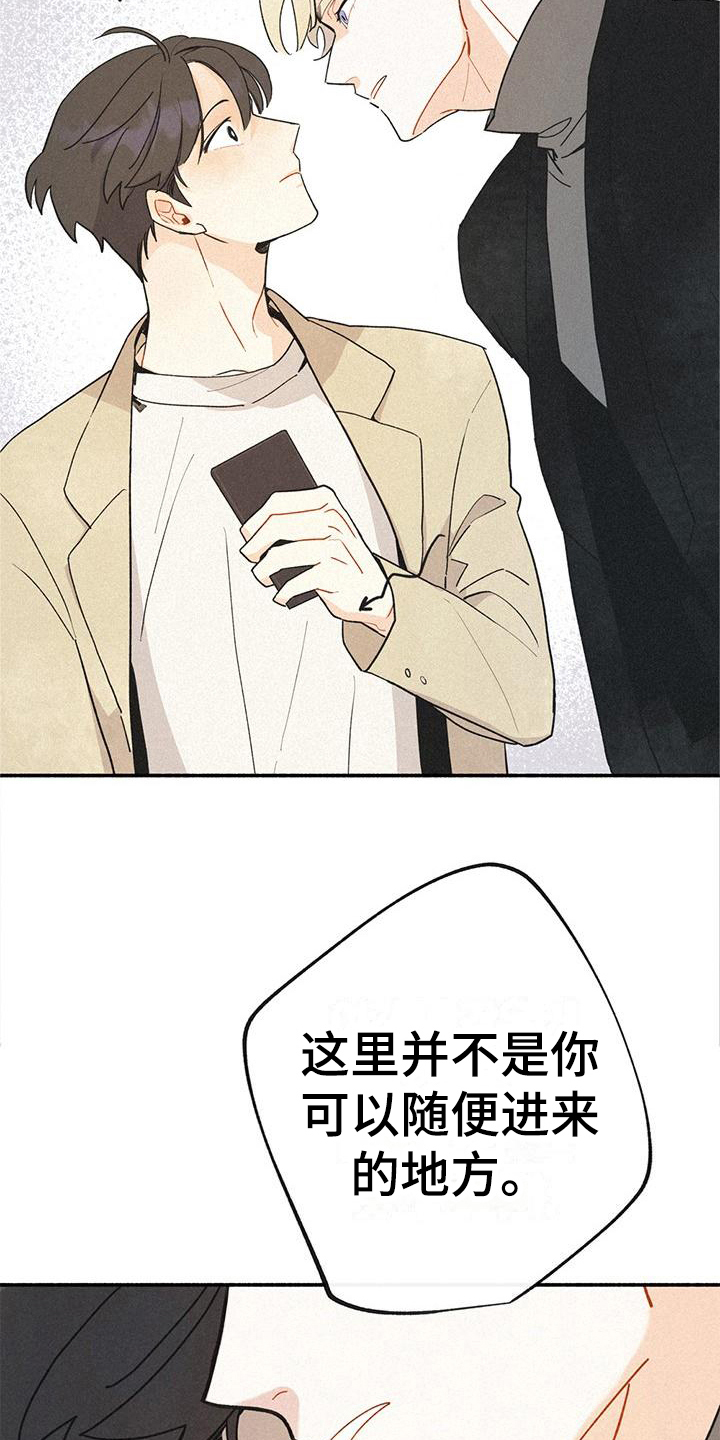 第2章：相似13