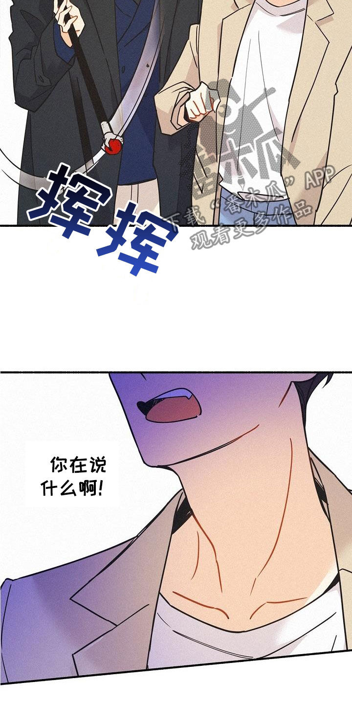 第54章：身份之谜13
