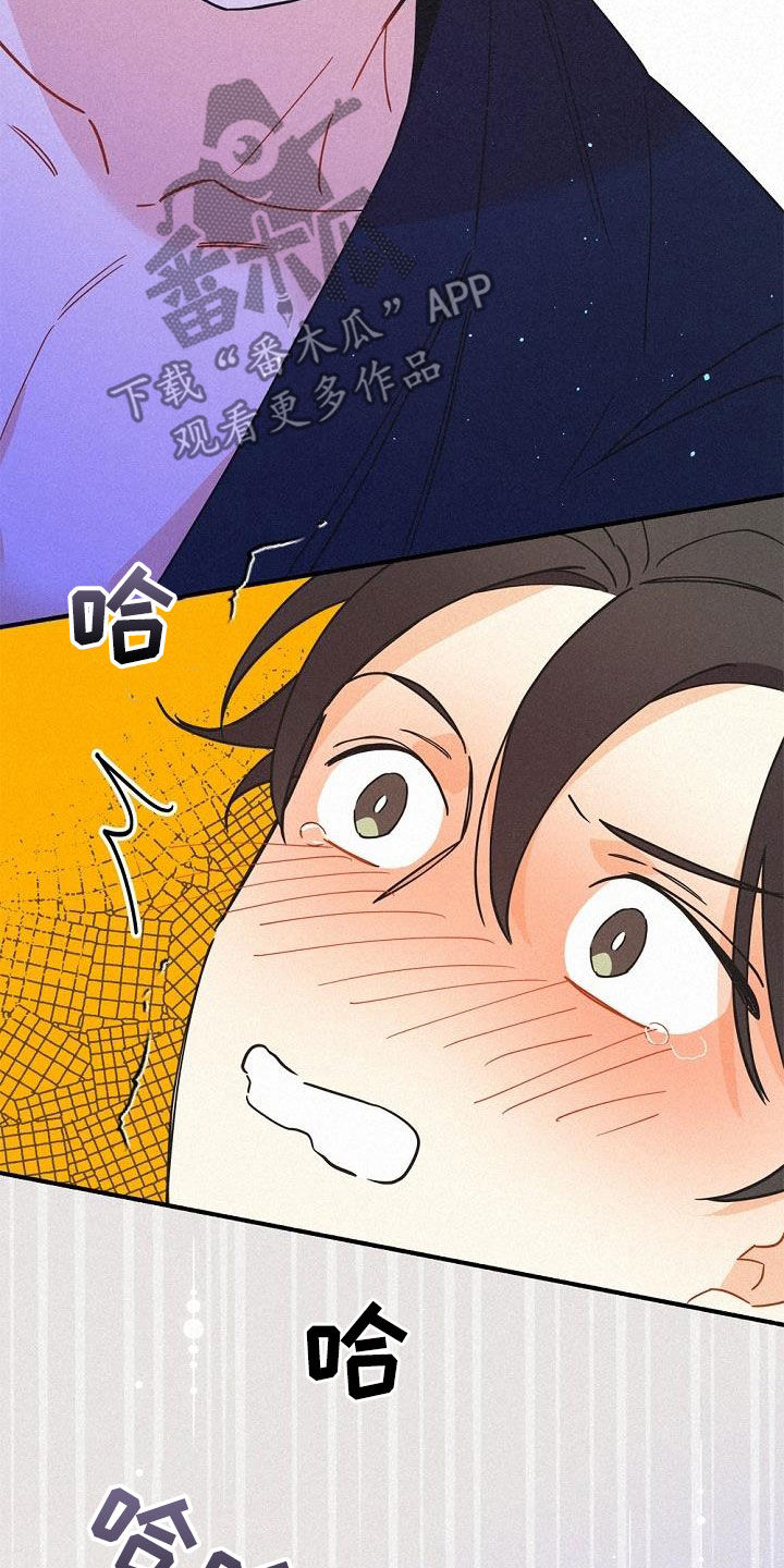 第47章：调查13