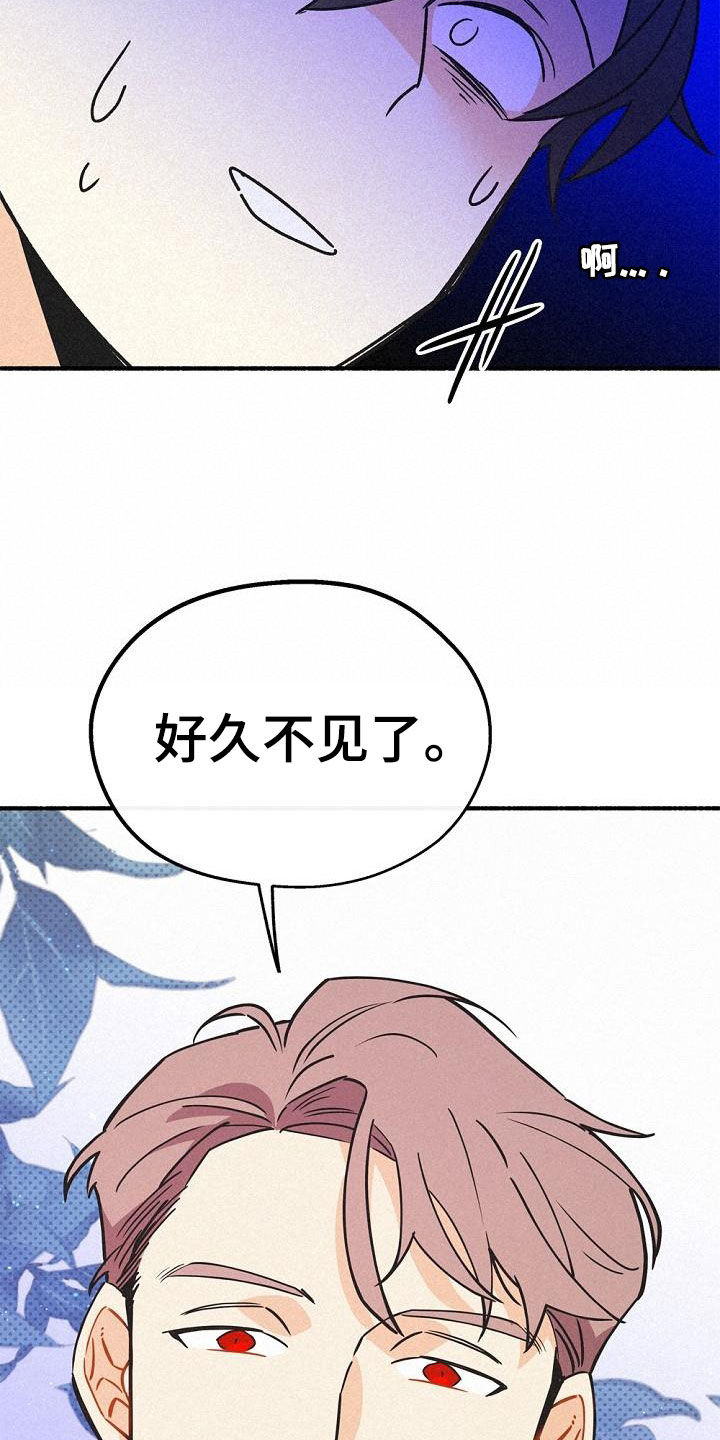 第54章：身份之谜5
