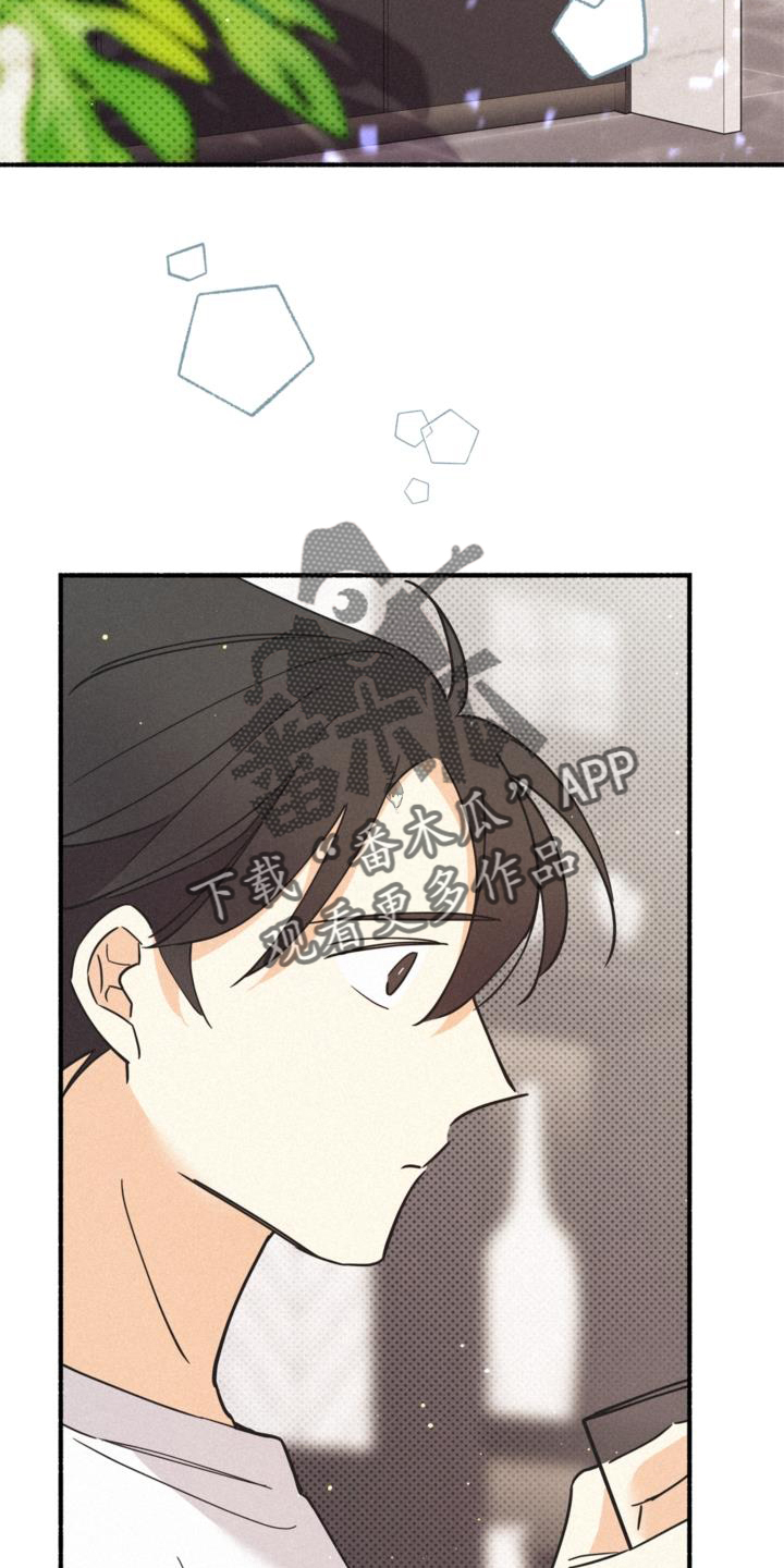 第62章：关系19