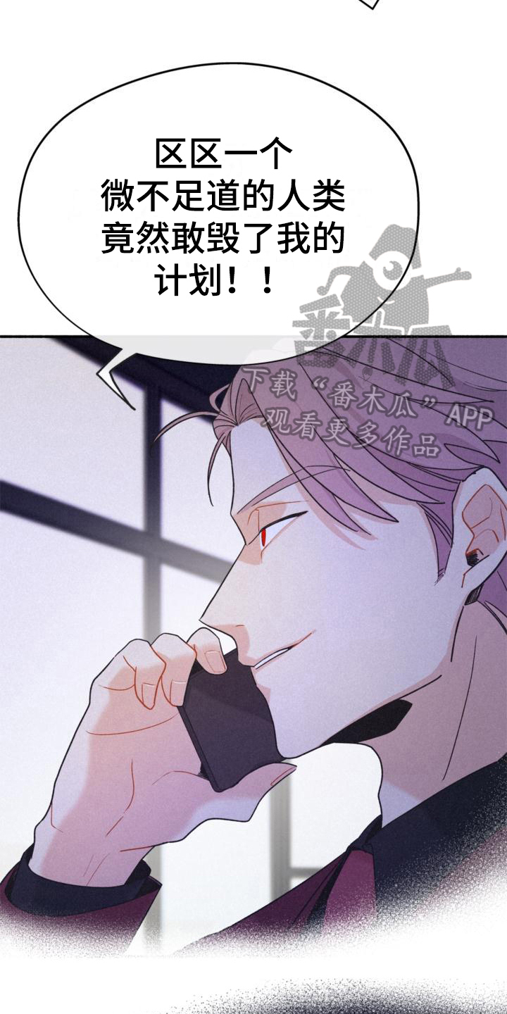 第13章：安排15
