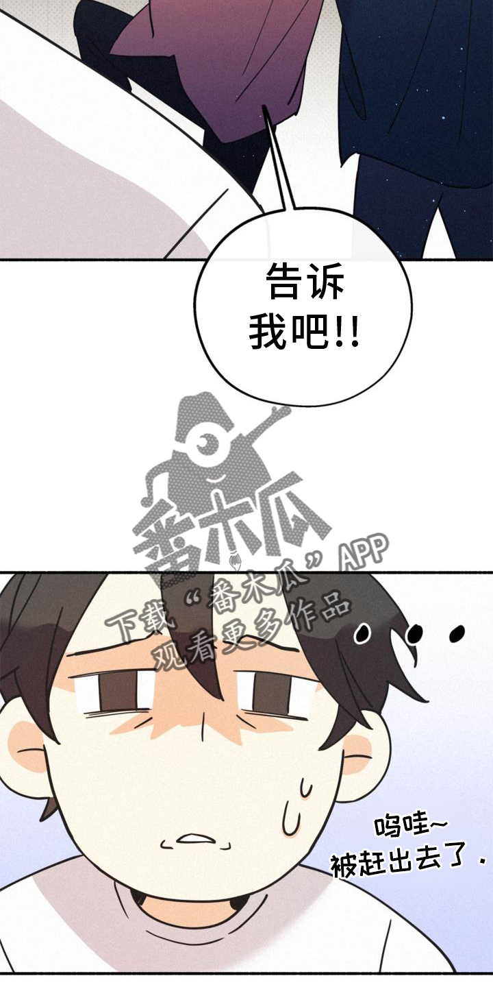 第63章：行李11