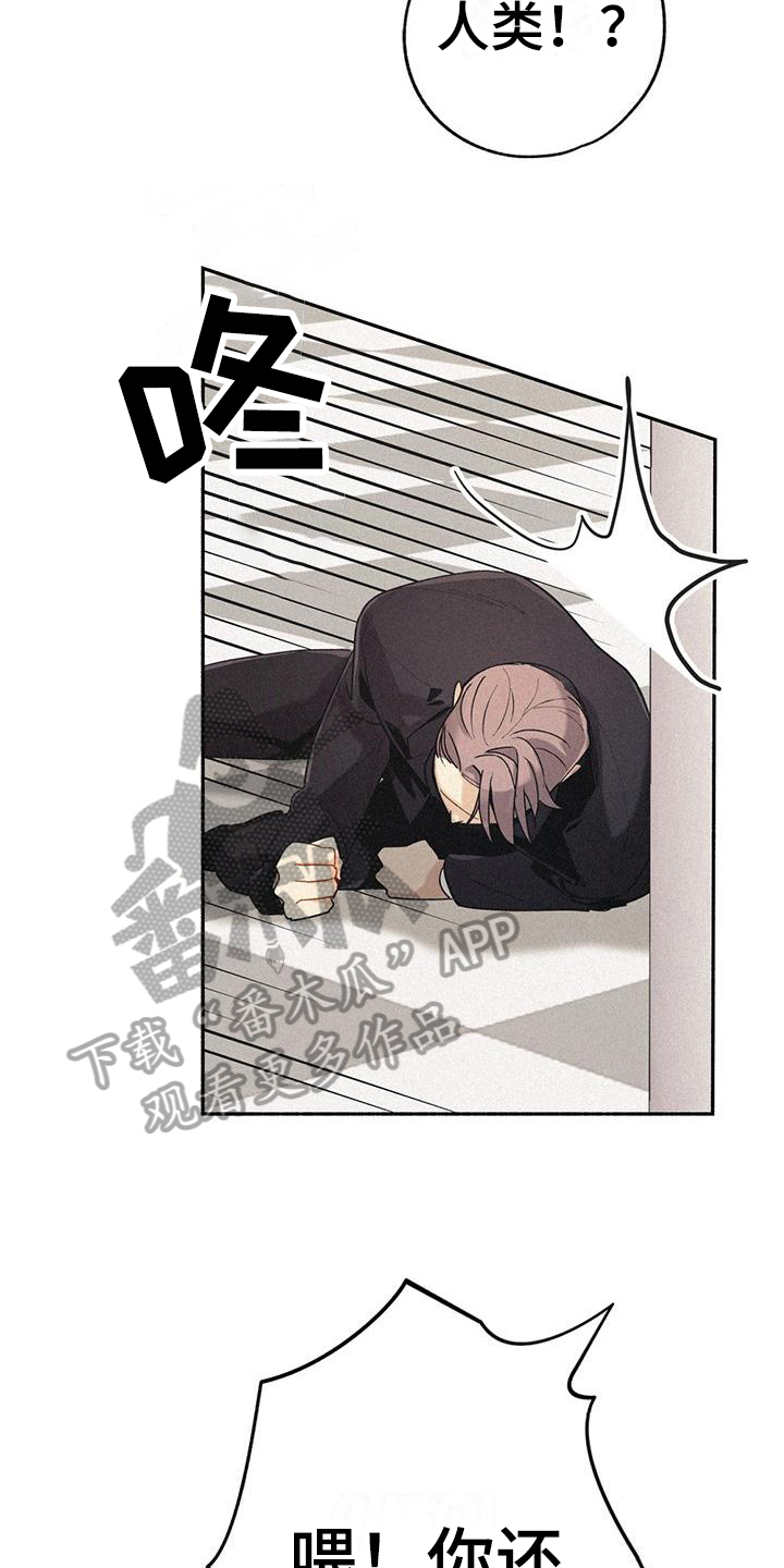 第5章：救人7