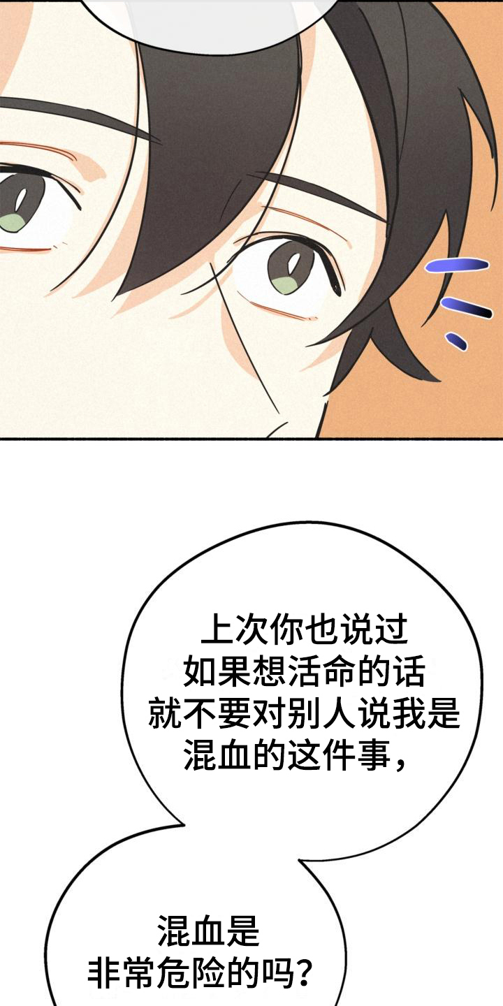 第27章：年龄11