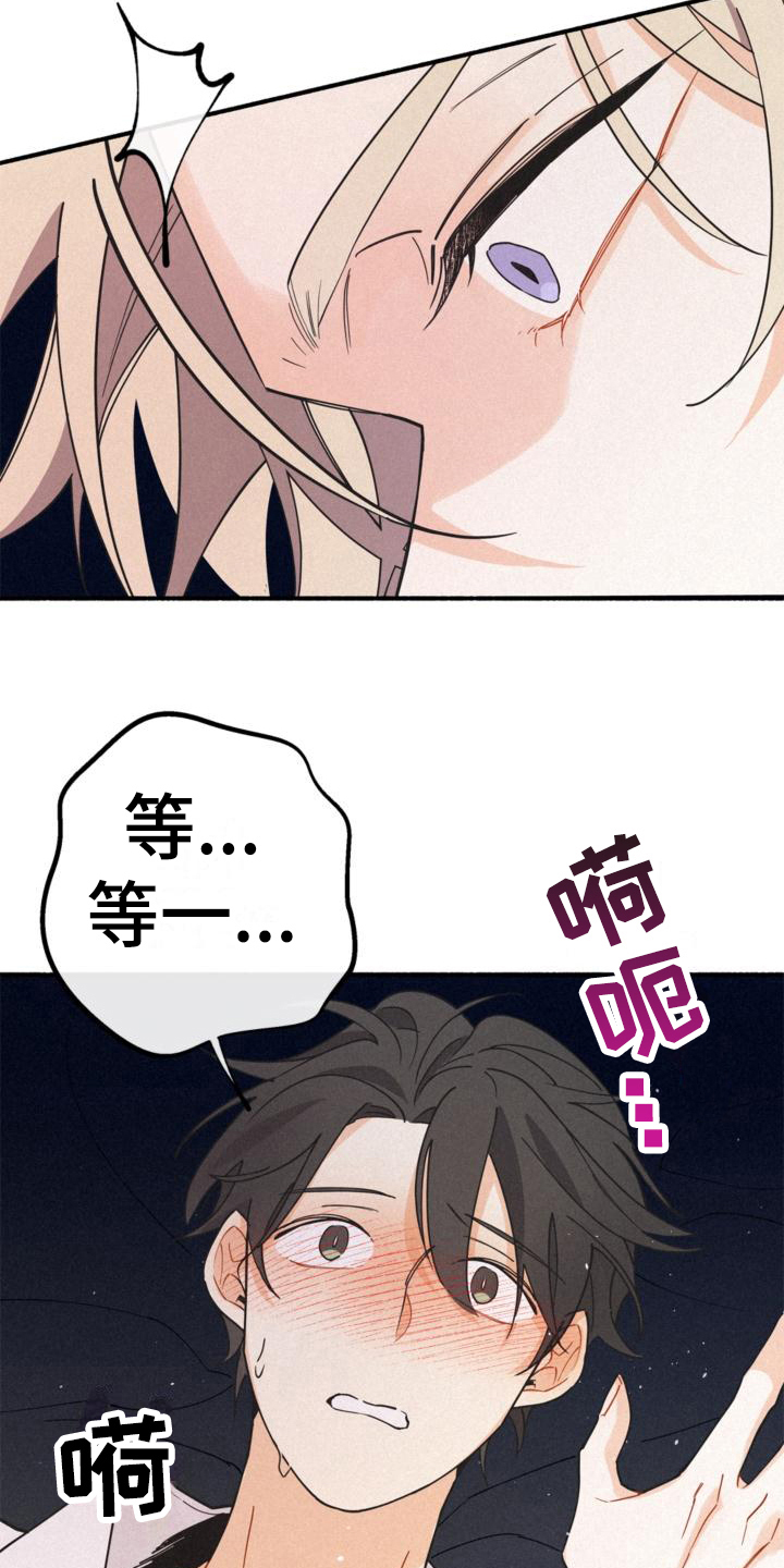 第24章：理解4