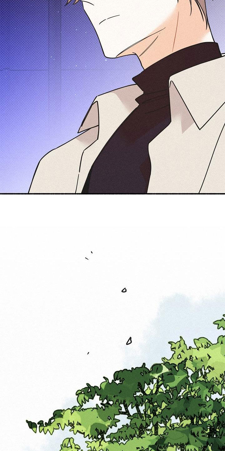 第52章：传闻11
