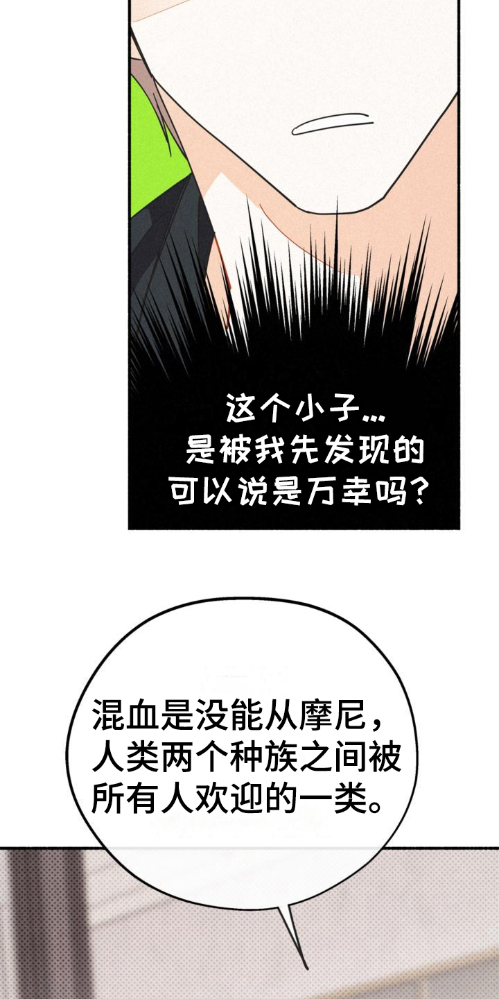第27章：年龄13