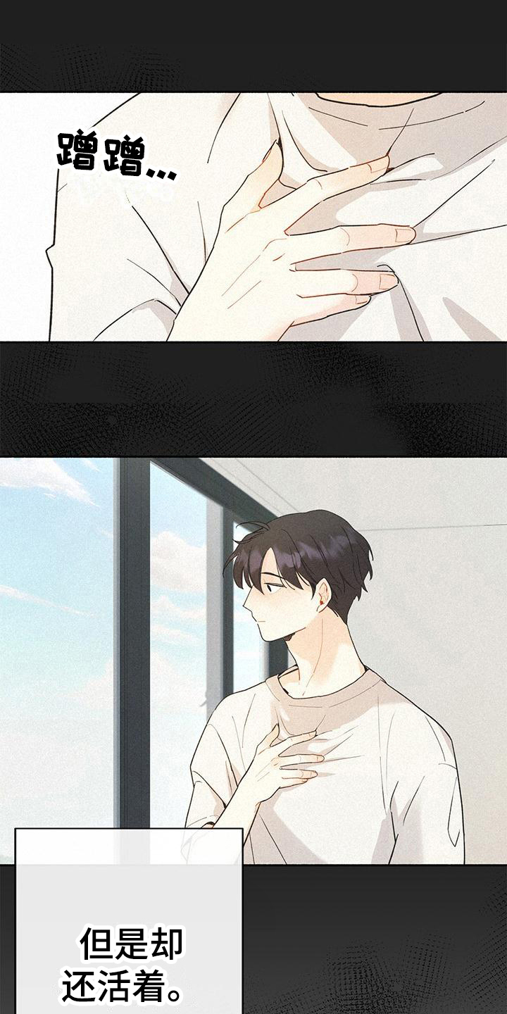 第2章：相似0