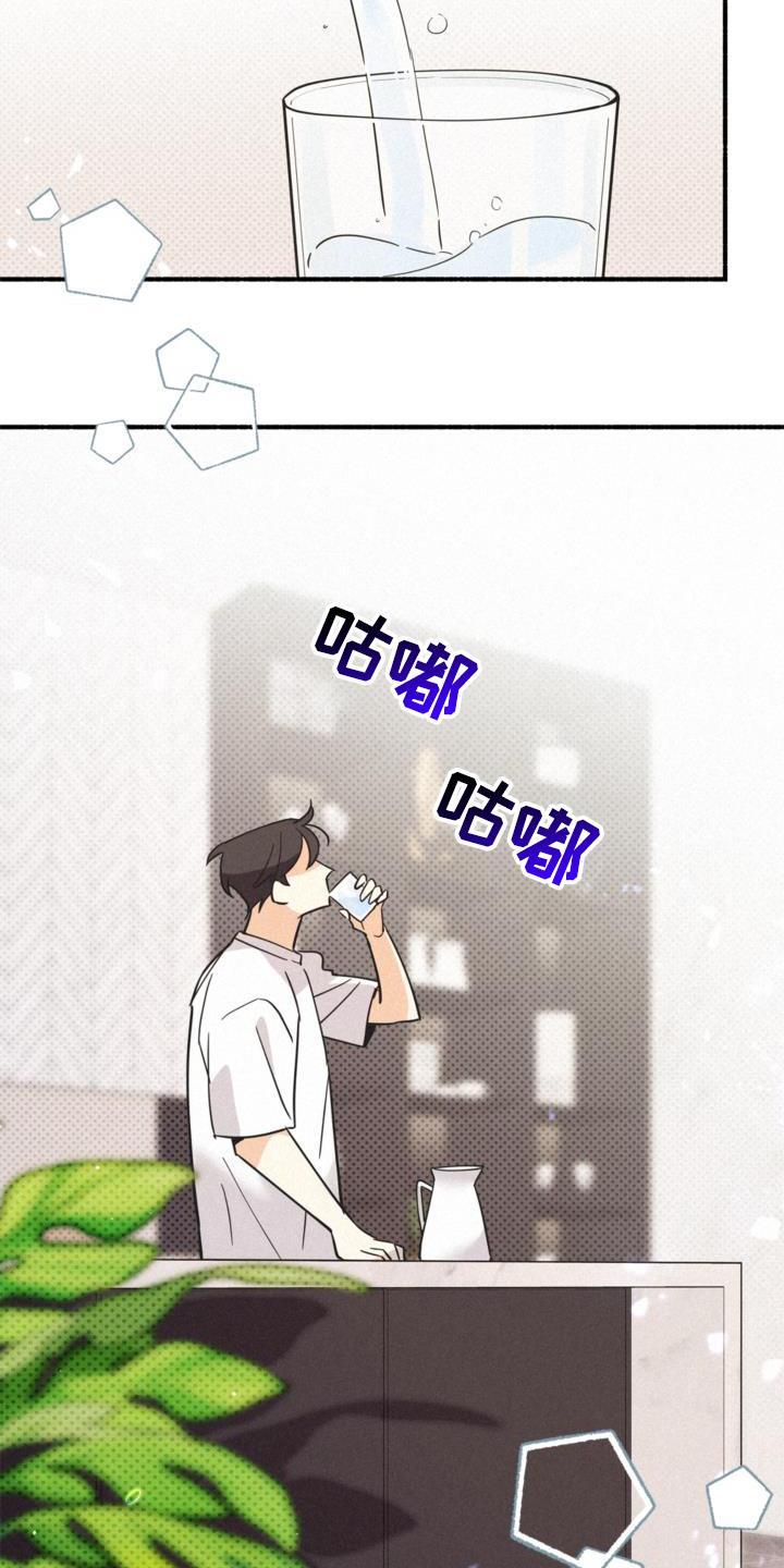 第62章：关系18