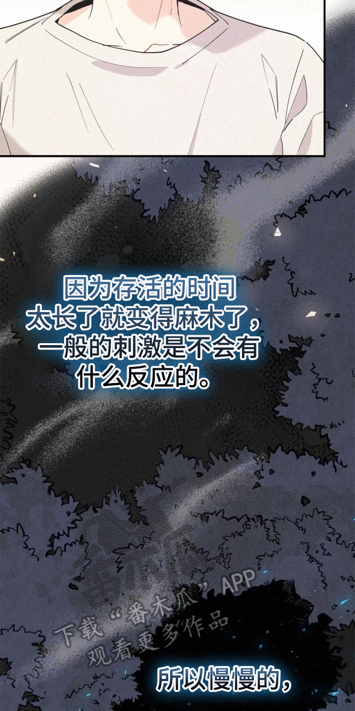 第19章：信任5