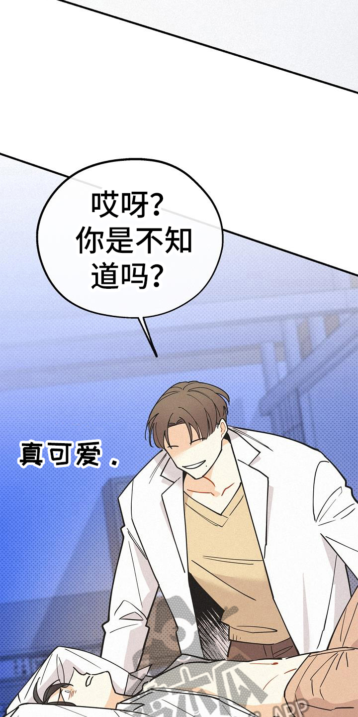 第42章：研究8