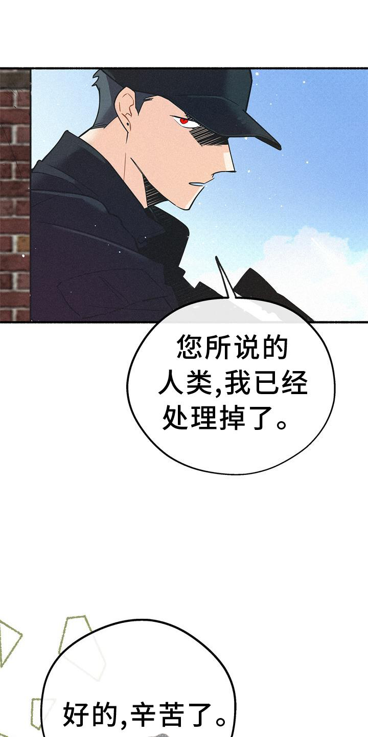 第35章：特别活动11
