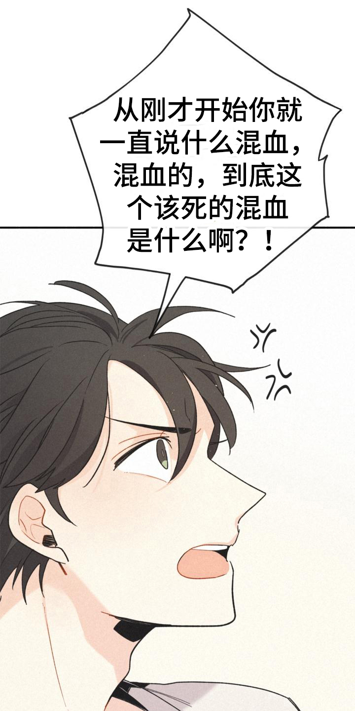 第16章：不知道12
