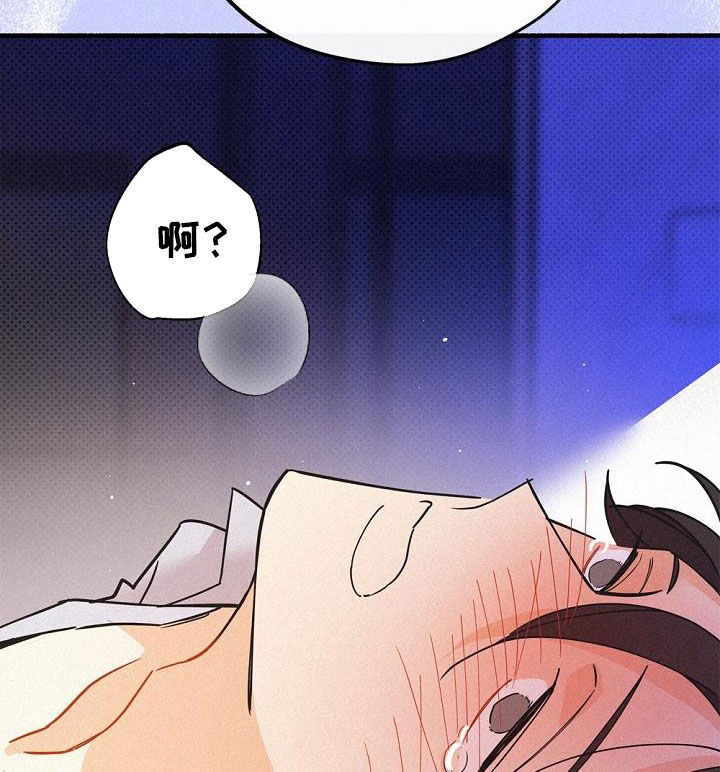 第47章：调查11