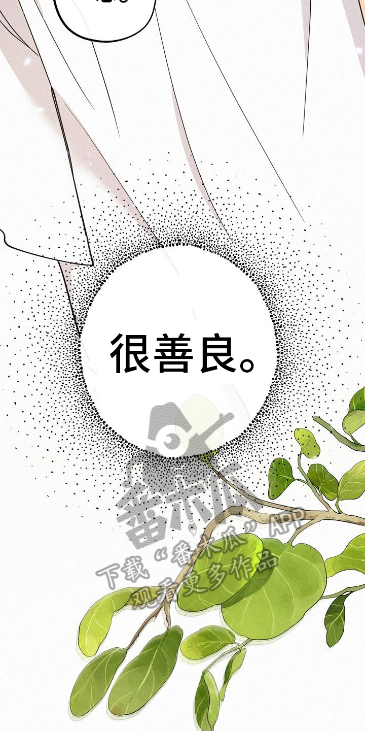 第44章：很善良26