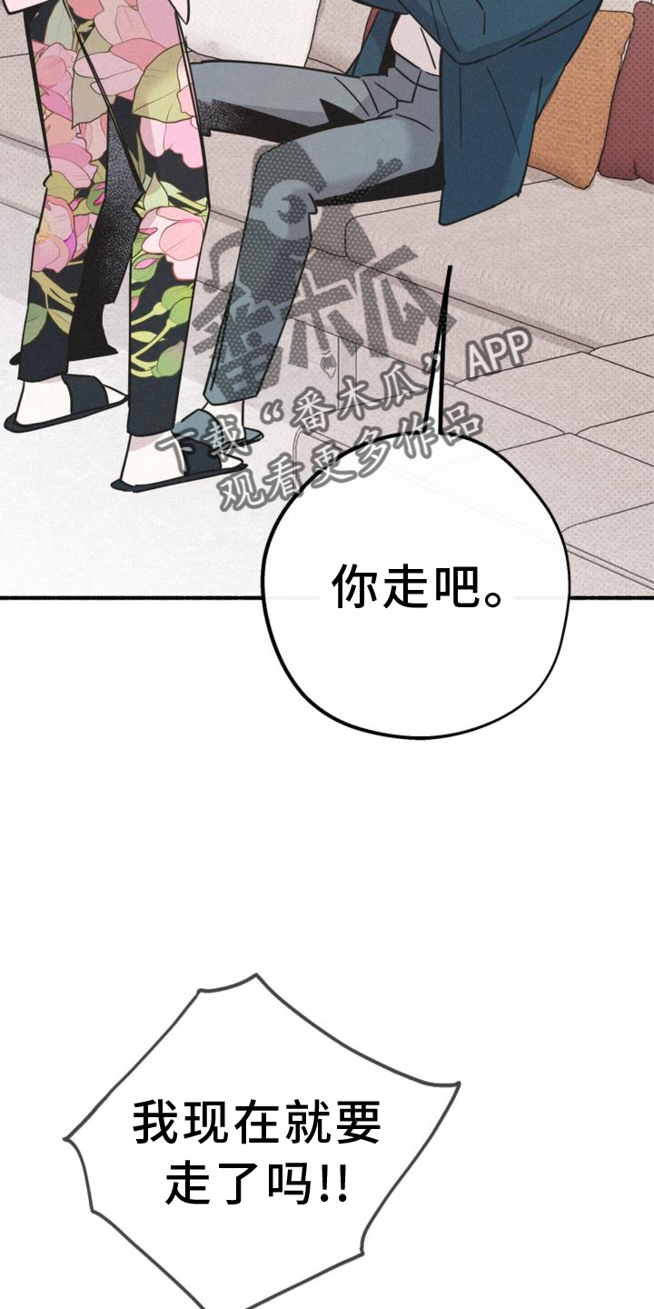 第62章：关系15