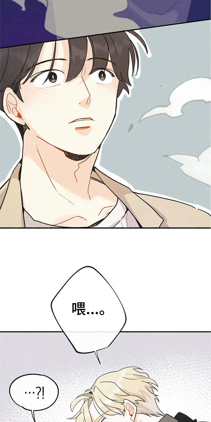 第2章：相似12