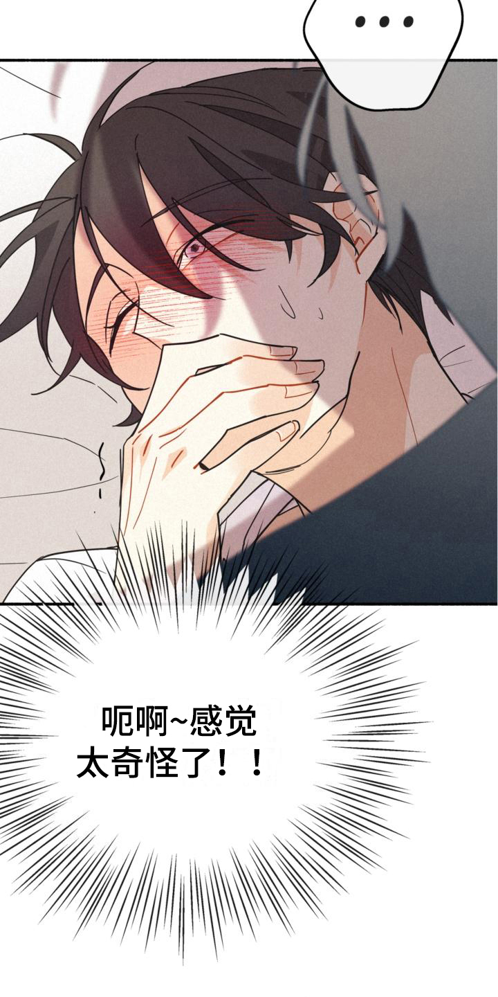 第23章：理由16