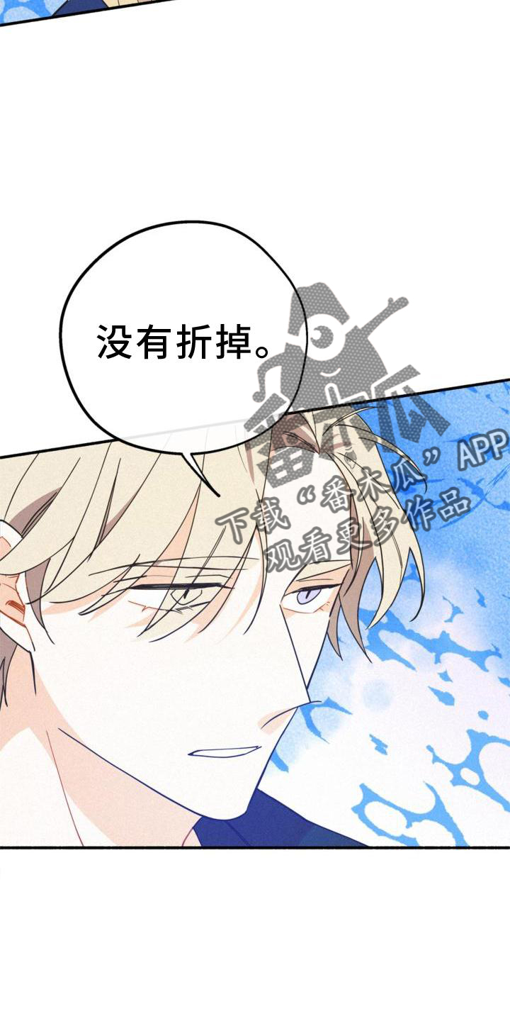 第29章：清楚3