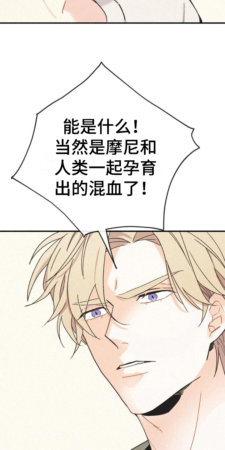 第16章：不知道13