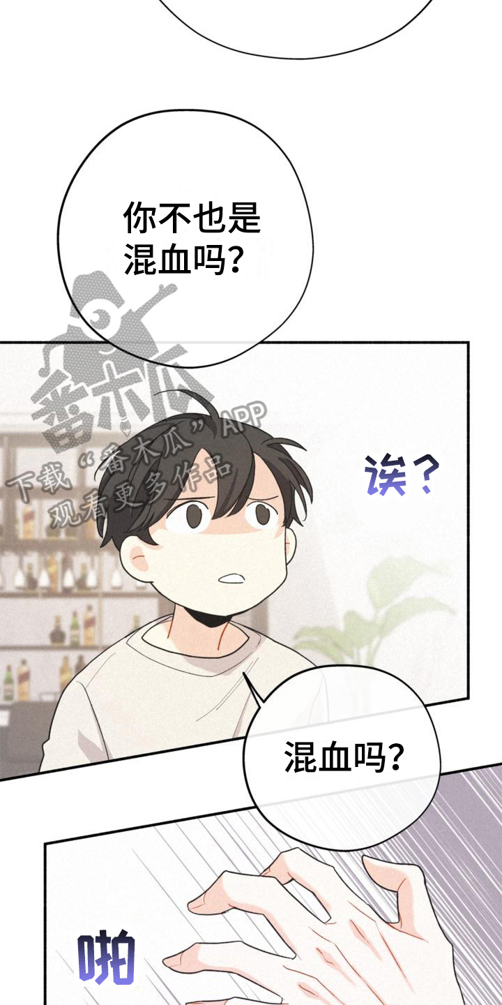 第16章：不知道3