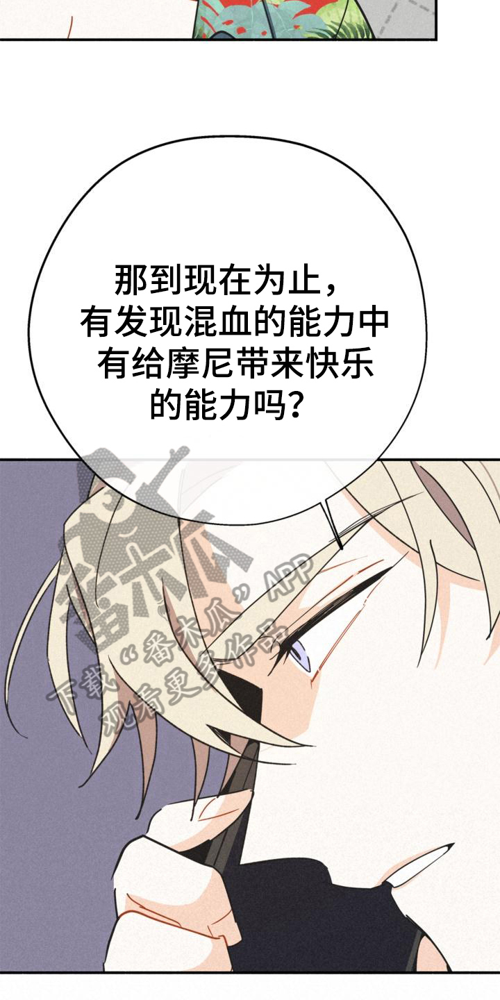 第21章：可疑8