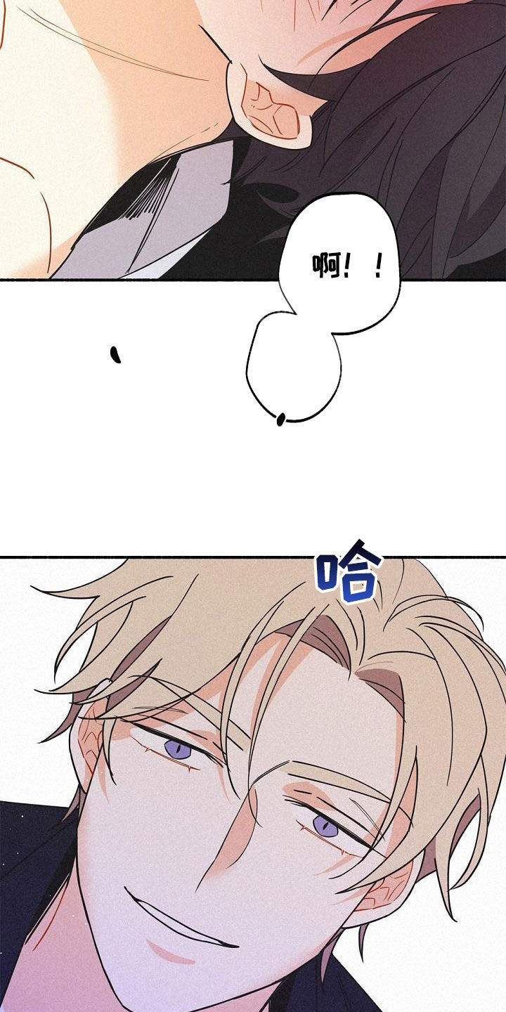 第47章：调查12