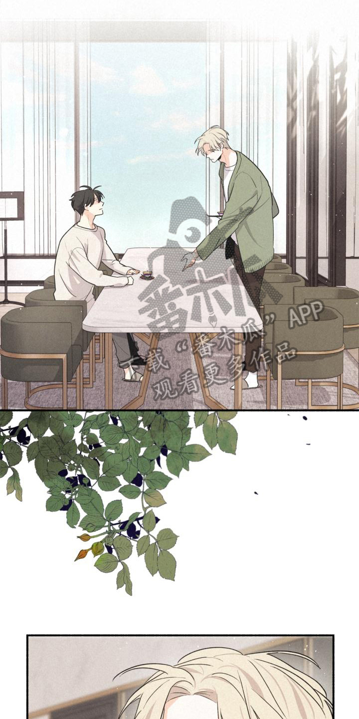 第15章：询问0