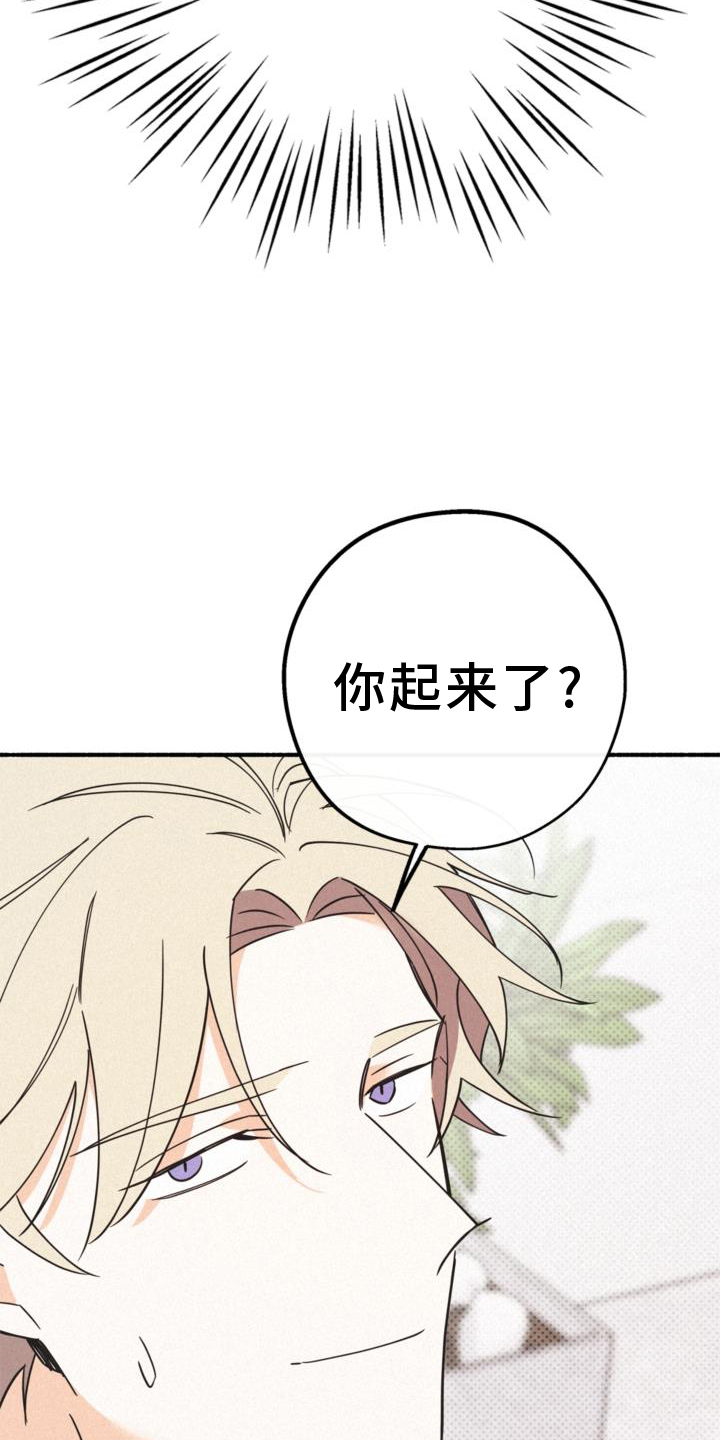 第61章：撞见20